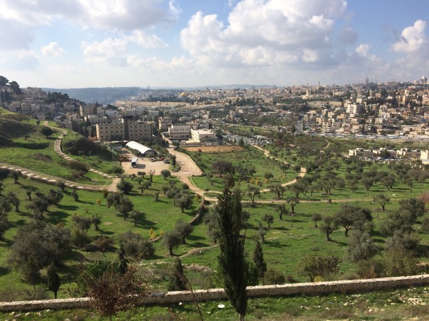 2015-11-19_074822425_4CE41_iOS