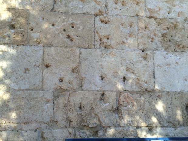 2015-11-20_123230044_C5B75_iOS