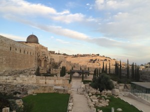 2015-11-20_141813682_1BDF9_iOS